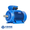 Động cơ điện Guanglu Y3