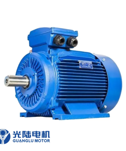 Động cơ điện Guanglu Y3