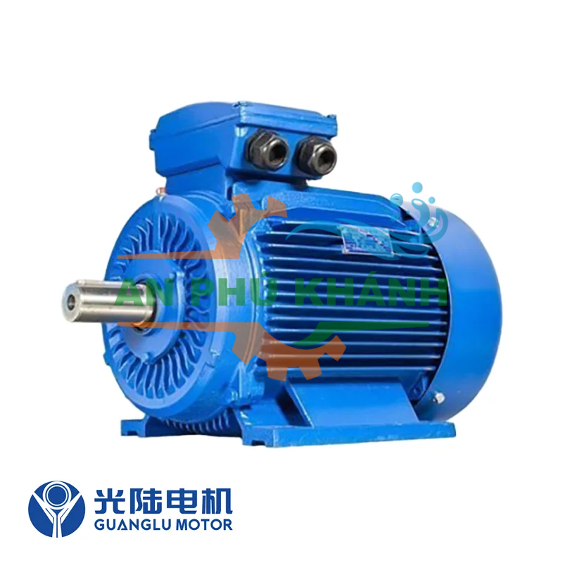 Động cơ điện Guanglu Y3