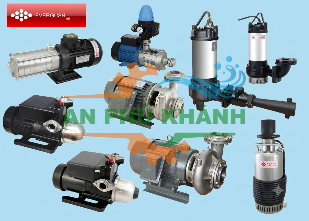 Máy bơm Evergush – Giải pháp bơm nước và xử lý nước thải hiệu quả